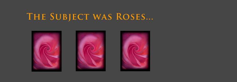 Roses